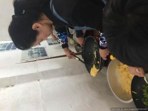 IMG 3672